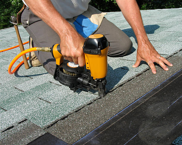 Best Roof Restoration Services  in Lanse, MI