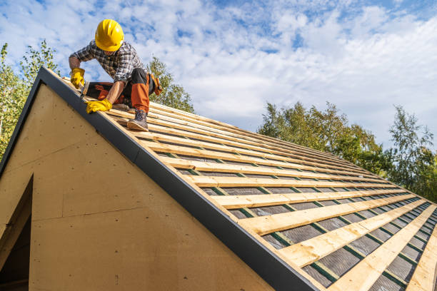 Best Roof Leak Repair  in Lanse, MI