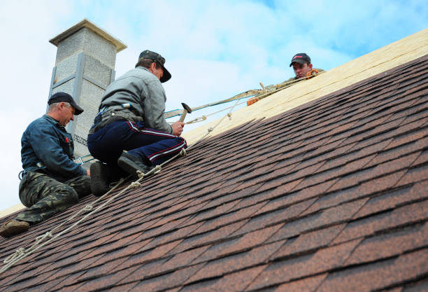 Best Local Roofing Companies  in Lanse, MI